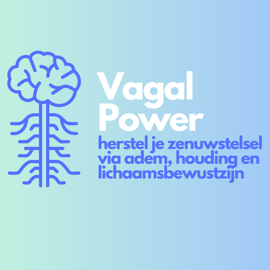 Vagal Power – Herstel je zenuwstelsel via de Nervus Vagus - Tim Binkhorst - Afbeelding 2